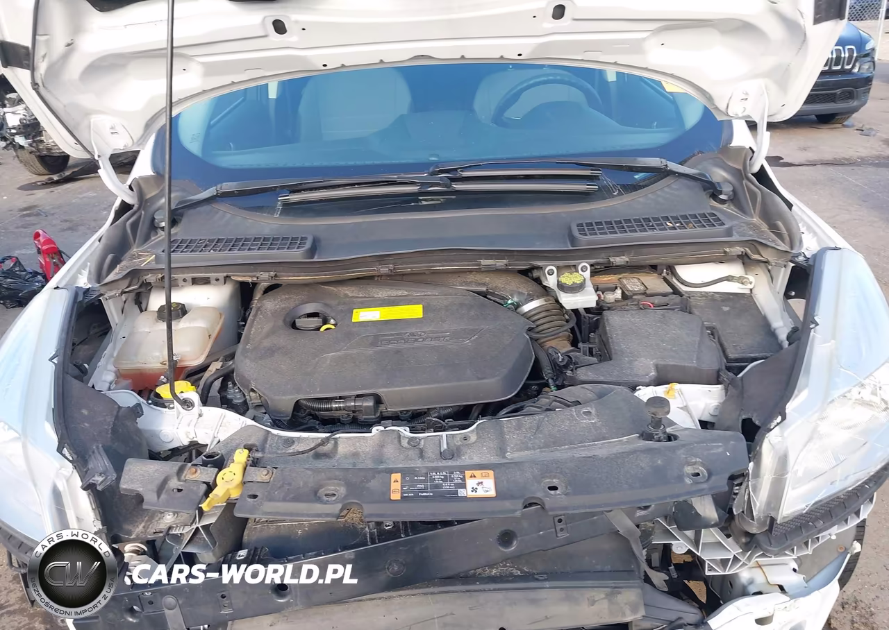 2016 Ford Escape Se VIN:1FMCU9GX0GUC37658 - 10