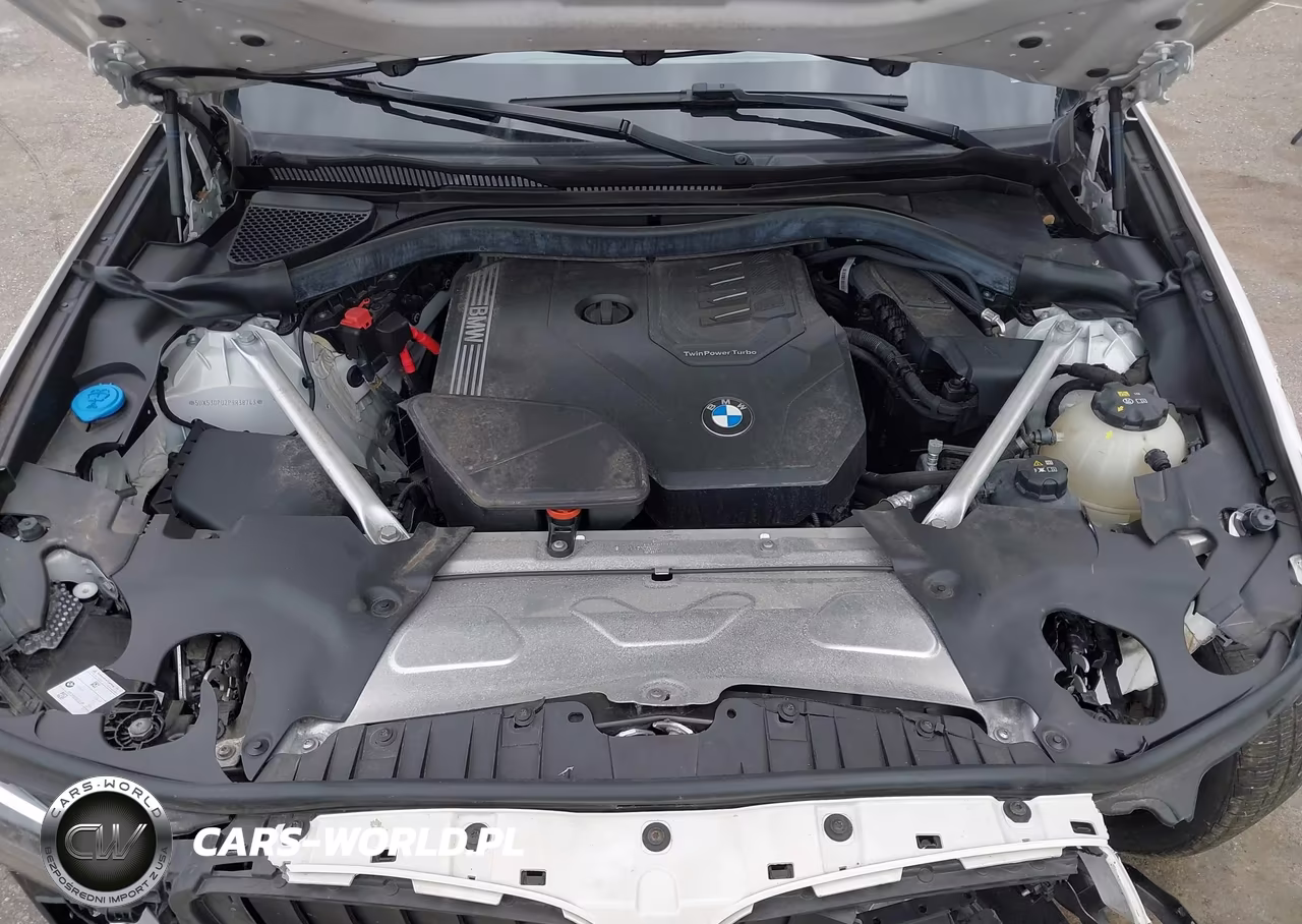 2023 BMW X3 xDrive30I VIN:5UX53DP02P9R38743 - 10