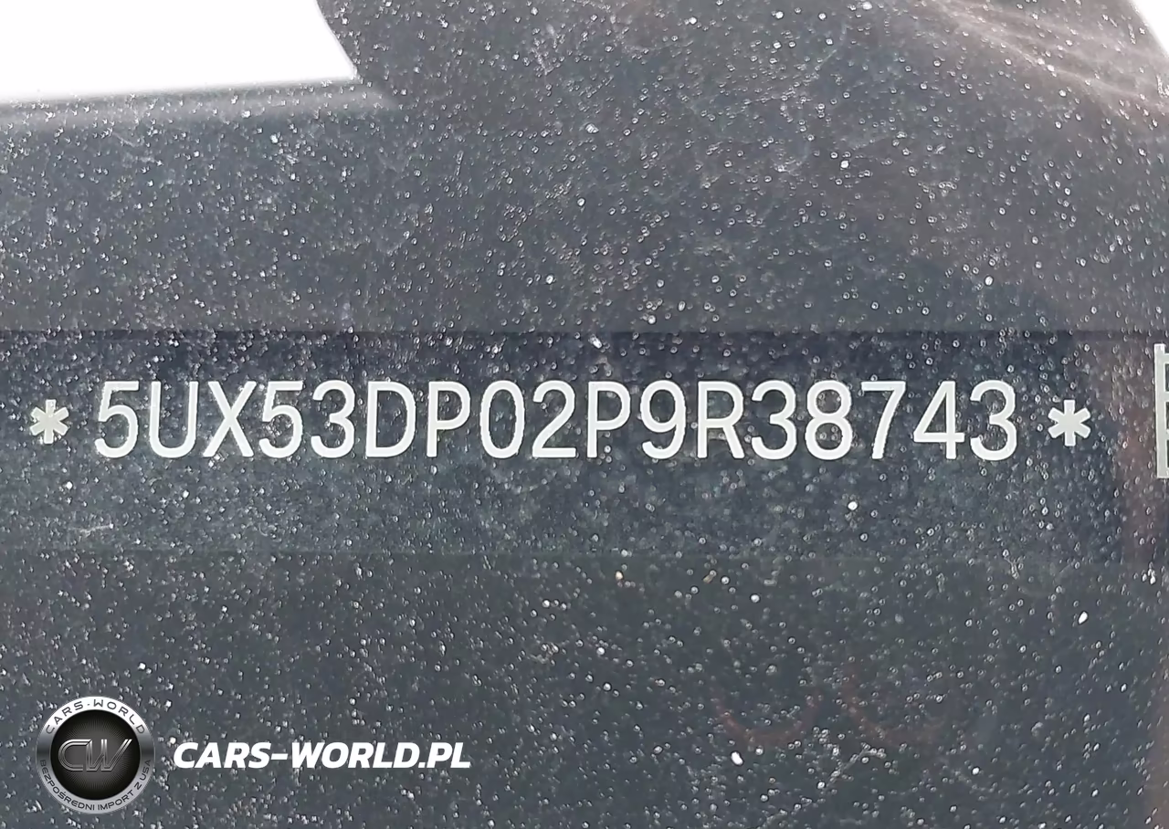 2023 BMW X3 xDrive30I VIN:5UX53DP02P9R38743 - 18