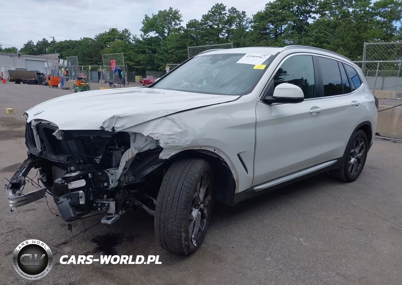 2023 BMW X3 xDrive30I VIN:5UX53DP02P9R38743 - 2