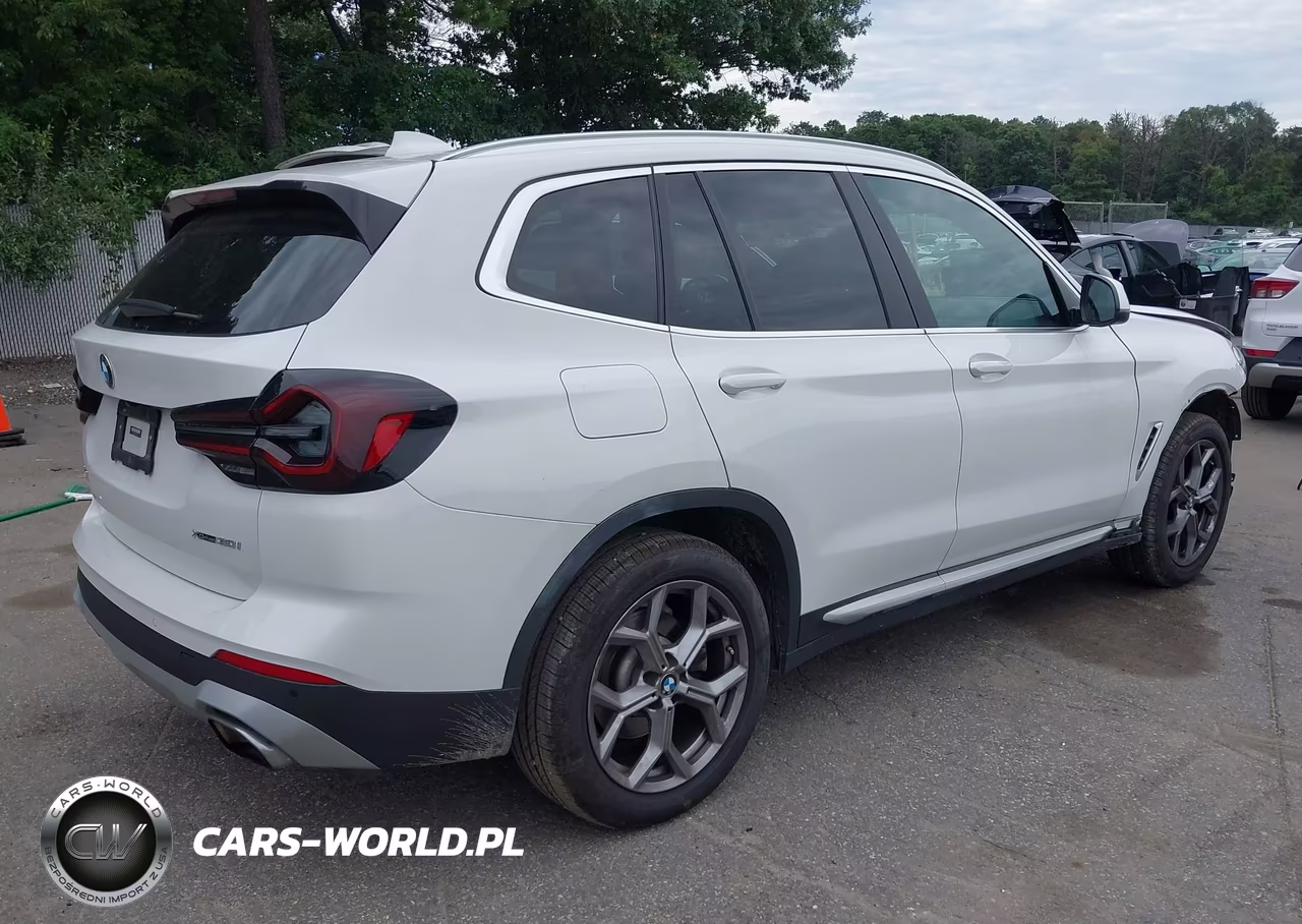 2023 BMW X3 xDrive30I VIN:5UX53DP02P9R38743 - 4