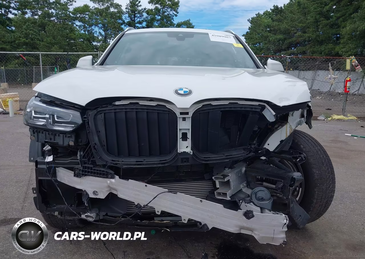 2023 BMW X3 xDrive30I VIN:5UX53DP02P9R38743 - 6