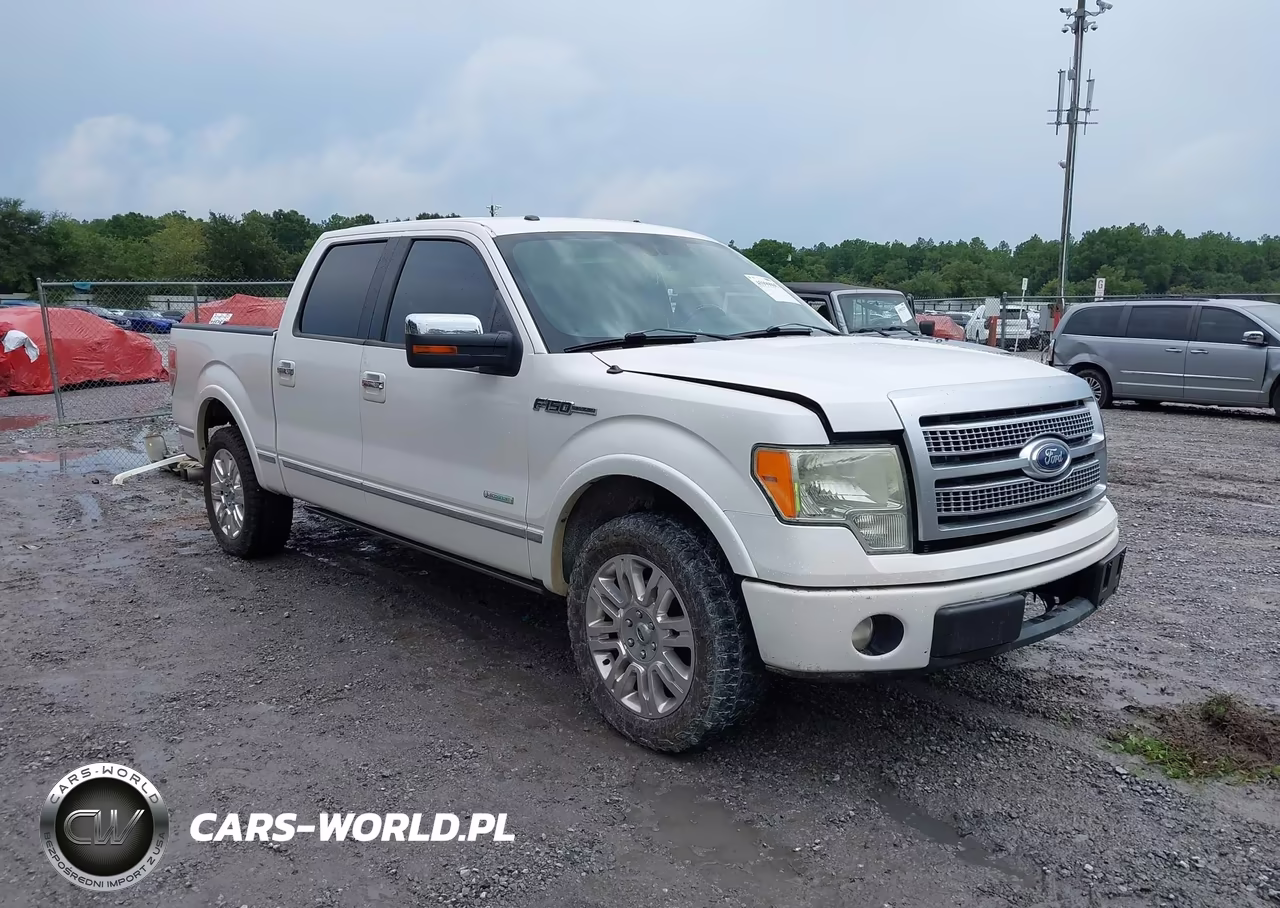 2011 Ford F-150 Platinum