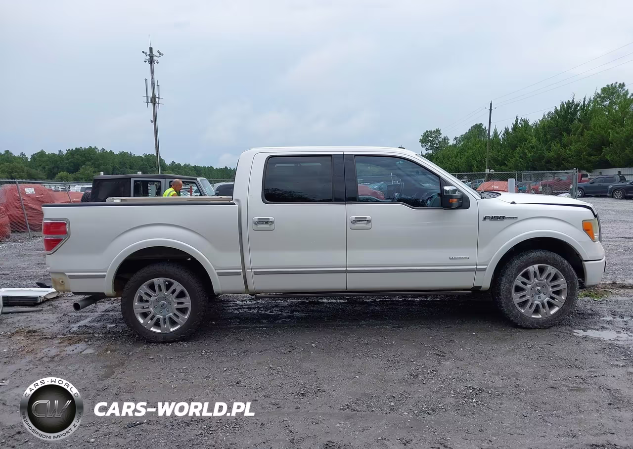 2011 Ford F-150 Platinum VIN:1FTFW1CTXBFC43884 - 14