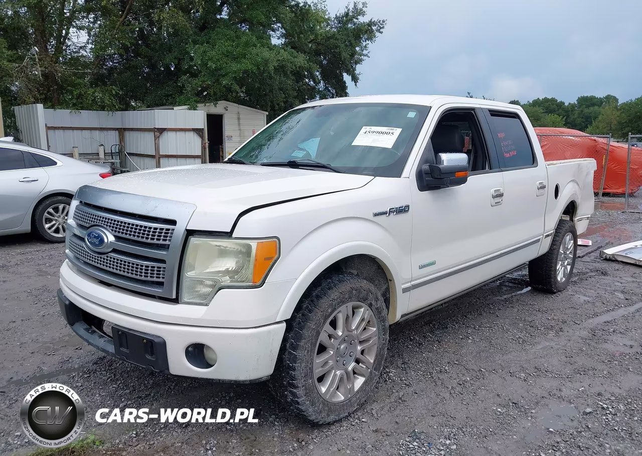 2011 Ford F-150 Platinum VIN:1FTFW1CTXBFC43884 - 2