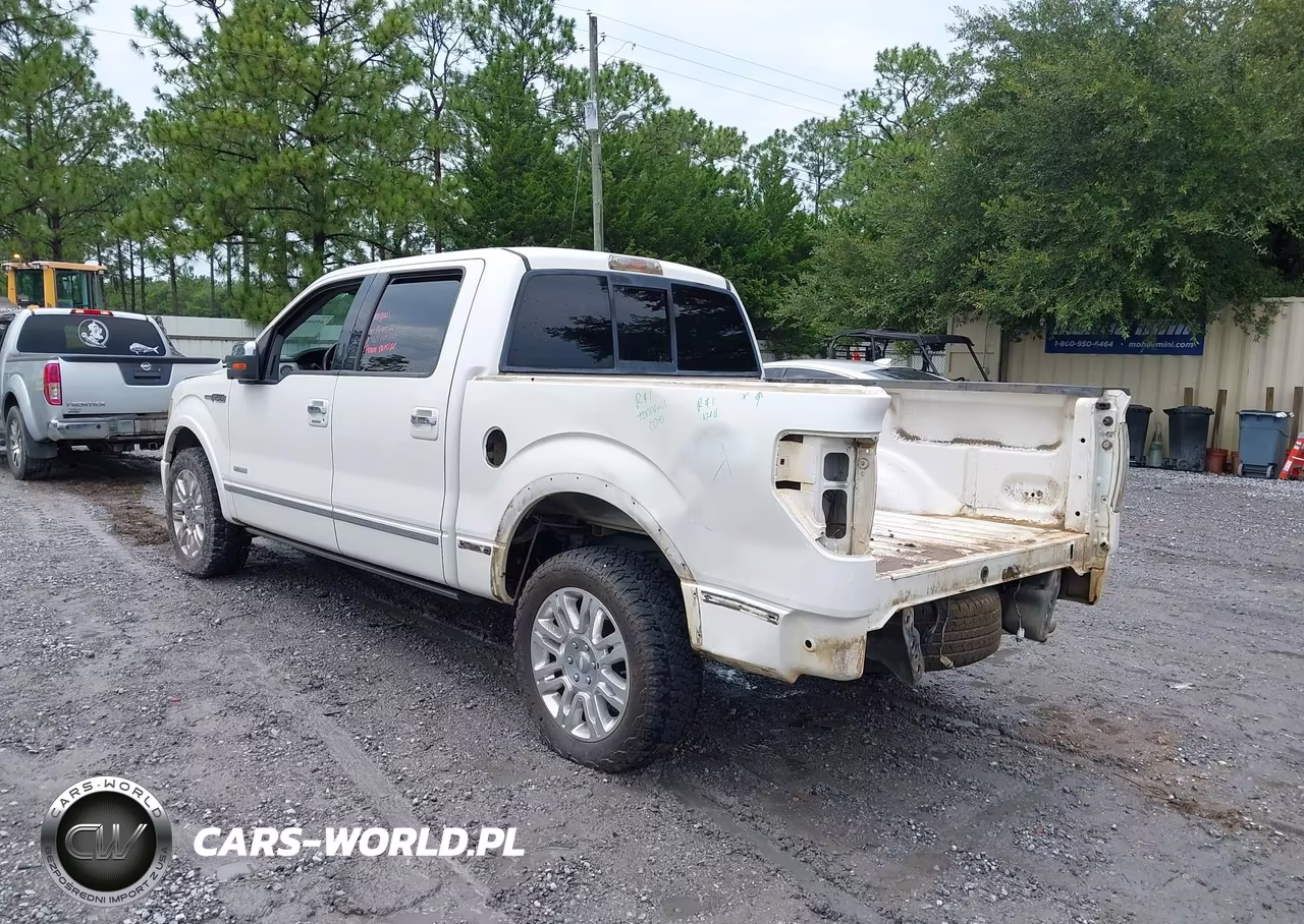 2011 Ford F-150 Platinum VIN:1FTFW1CTXBFC43884 - 3