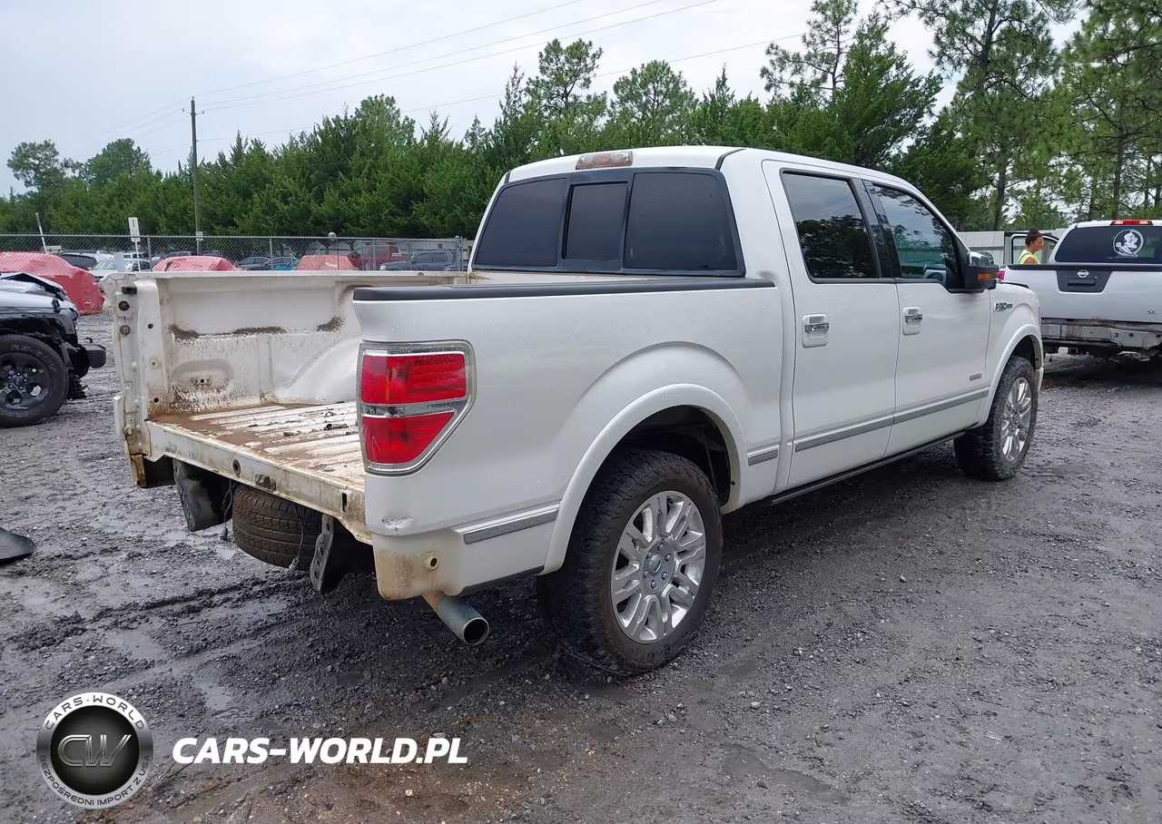 2011 Ford F-150 Platinum VIN:1FTFW1CTXBFC43884 - 4