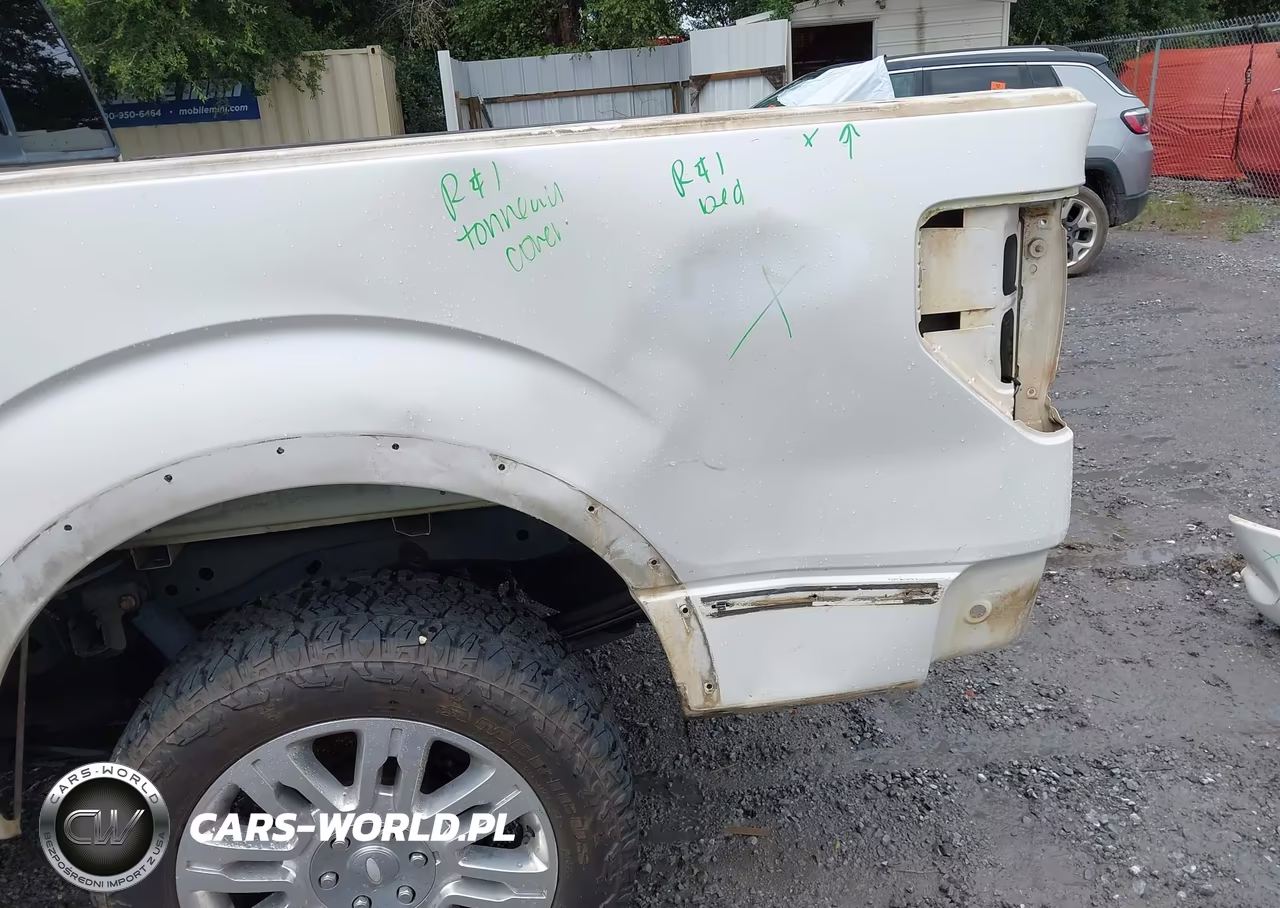 2011 Ford F-150 Platinum VIN:1FTFW1CTXBFC43884 - 6