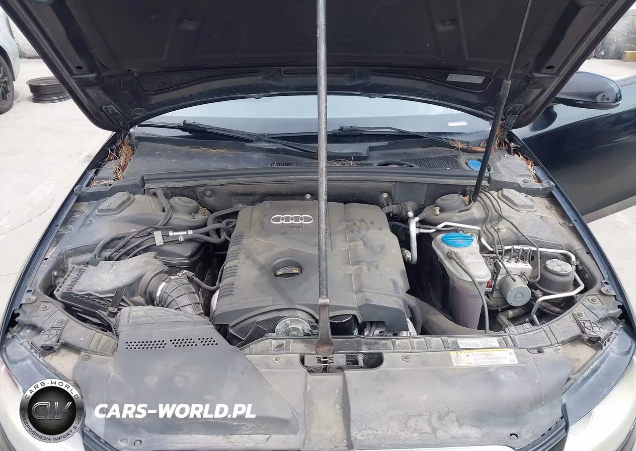 2011 Audi A4 2.0T Premium VIN:WAUSFAFL7BA073147 - 10