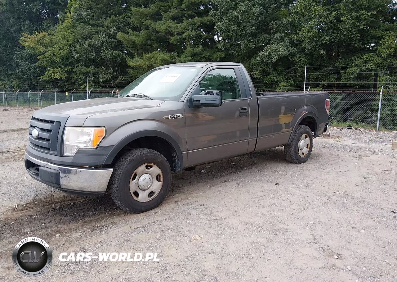 2009 Ford F-150 Xl-Xlt VIN:1FTRF12889KB25084 - 2