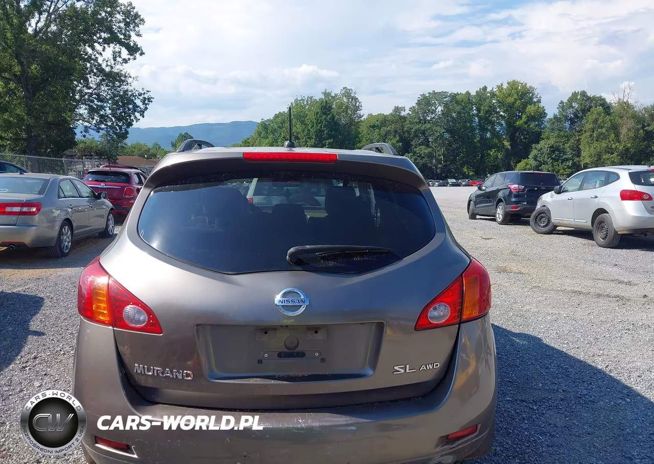 2009 Nissan Murano Sl VIN:JN8AZ18W49W120181 - 17