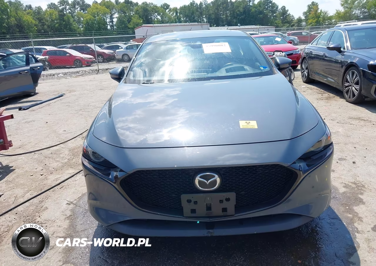 2019 Mazda Mazda3 Premium Package VIN:JM1BPBNM3K1141234 - 12