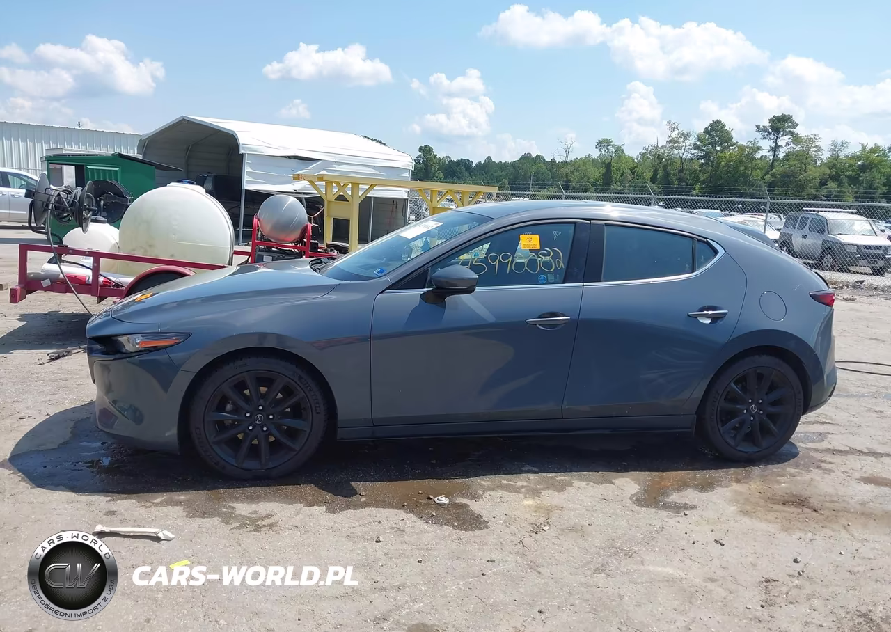 2019 Mazda Mazda3 Premium Package VIN:JM1BPBNM3K1141234 - 14