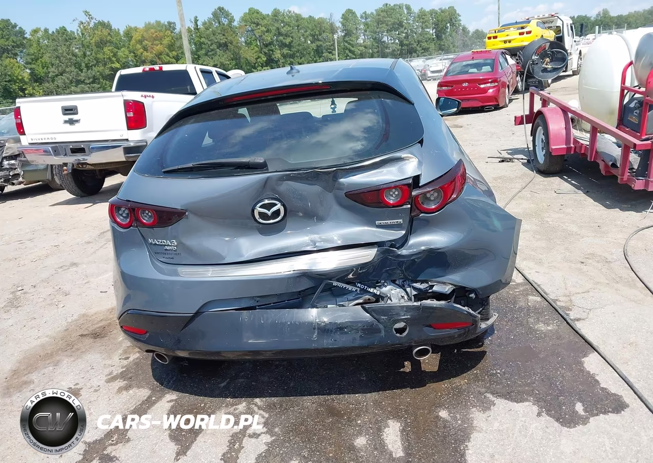 2019 Mazda Mazda3 Premium Package VIN:JM1BPBNM3K1141234 - 16