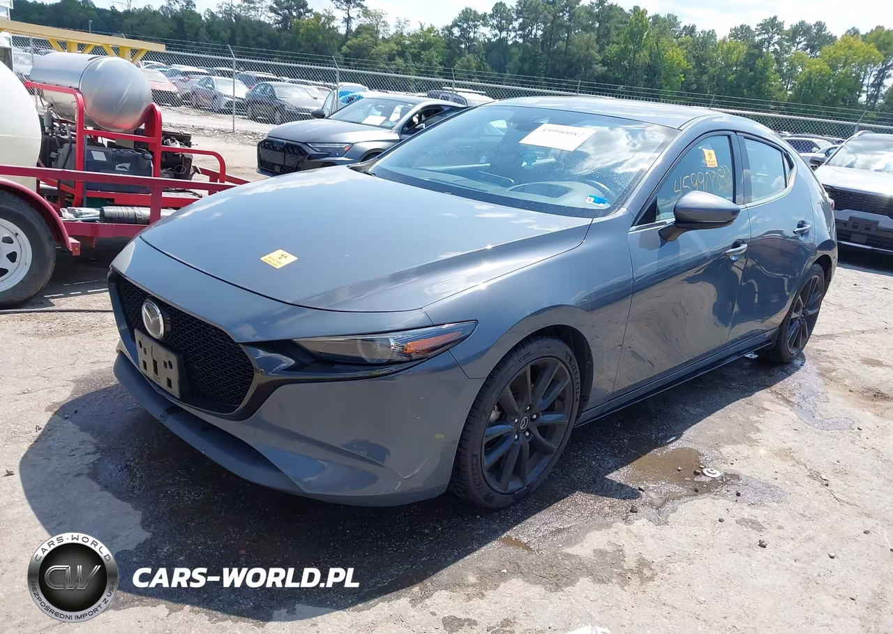 2019 Mazda Mazda3 Premium Package VIN:JM1BPBNM3K1141234 - 2