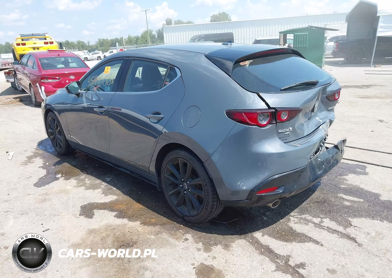2019 Mazda Mazda3 Premium Package VIN:JM1BPBNM3K1141234 - 3