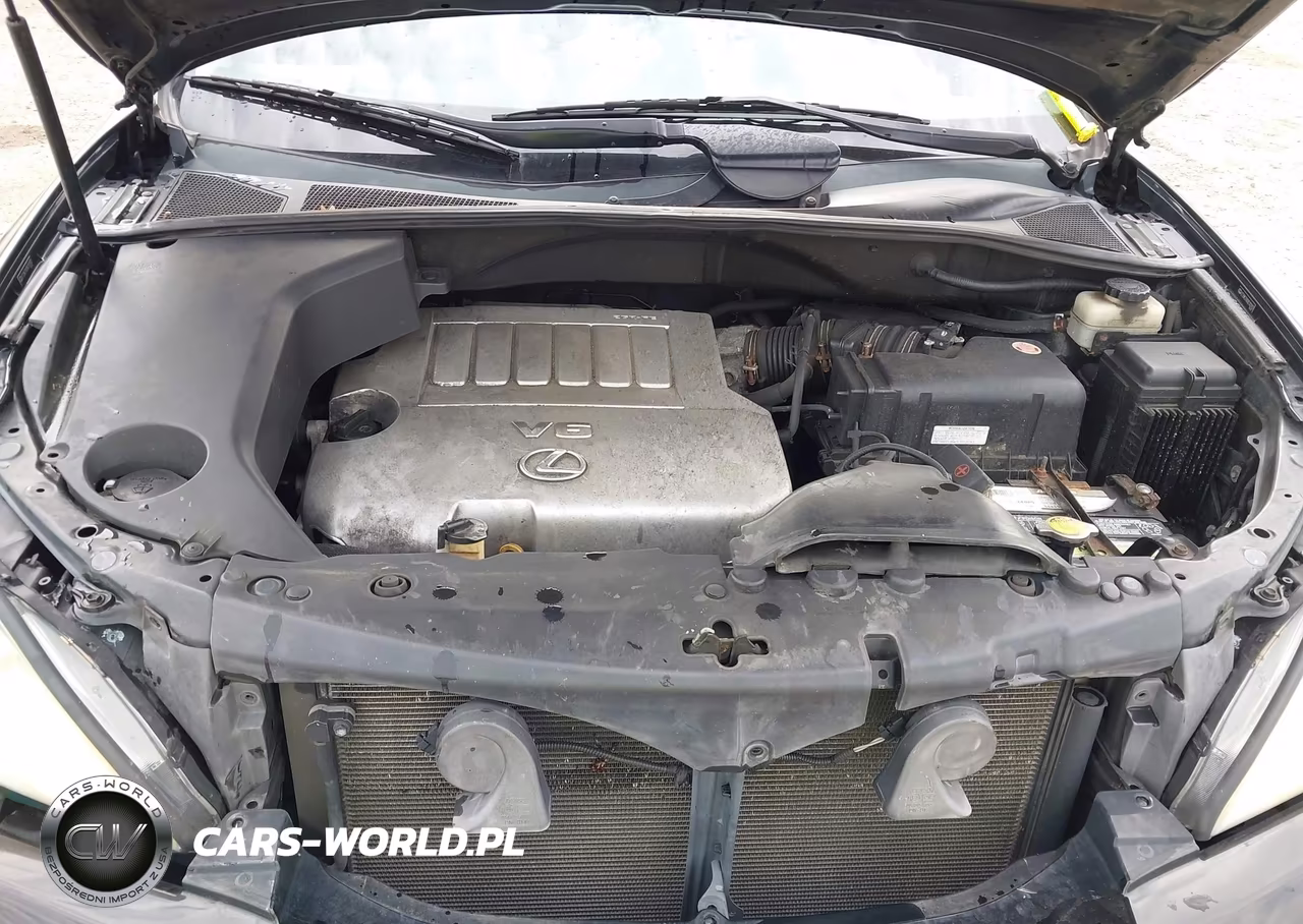 2009 Lexus Rx 350 VIN:2T2HK31U09C102932 - 10
