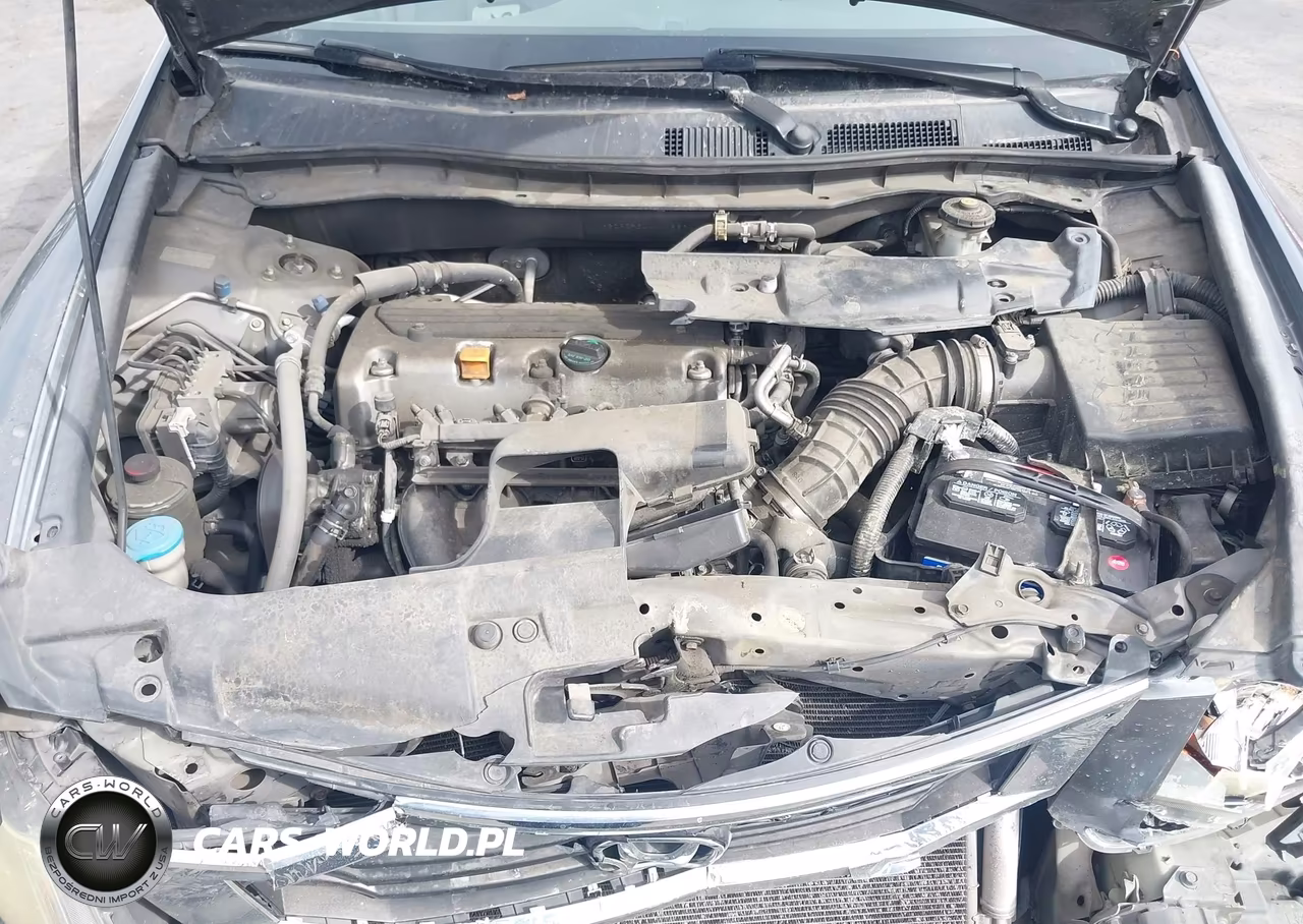 2010 Honda Accord 2.4 Lx VIN:1HGCP2F34AA118894 - 10