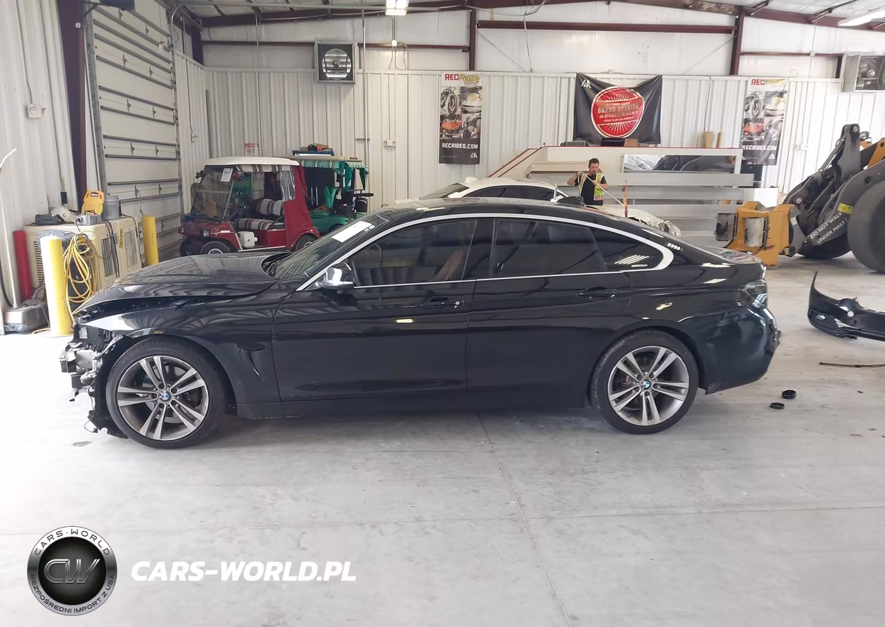 2019 BMW 430I Gran Coupe VIN:WBA4J1C53KBM16592 - 15