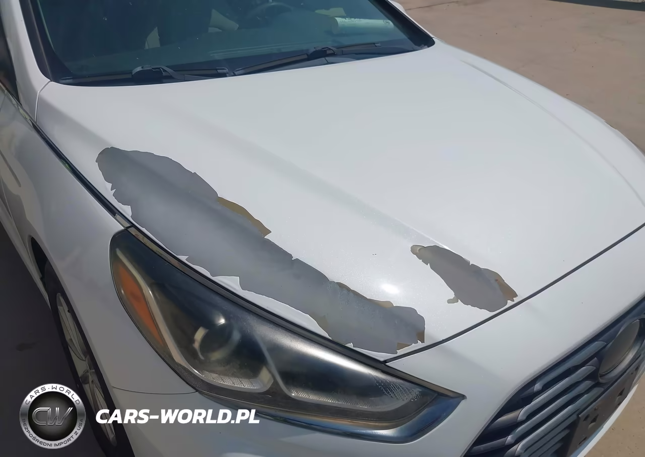 2018 Hyundai Sonata Eco VIN:5NPE24AA2JH680681 - 12