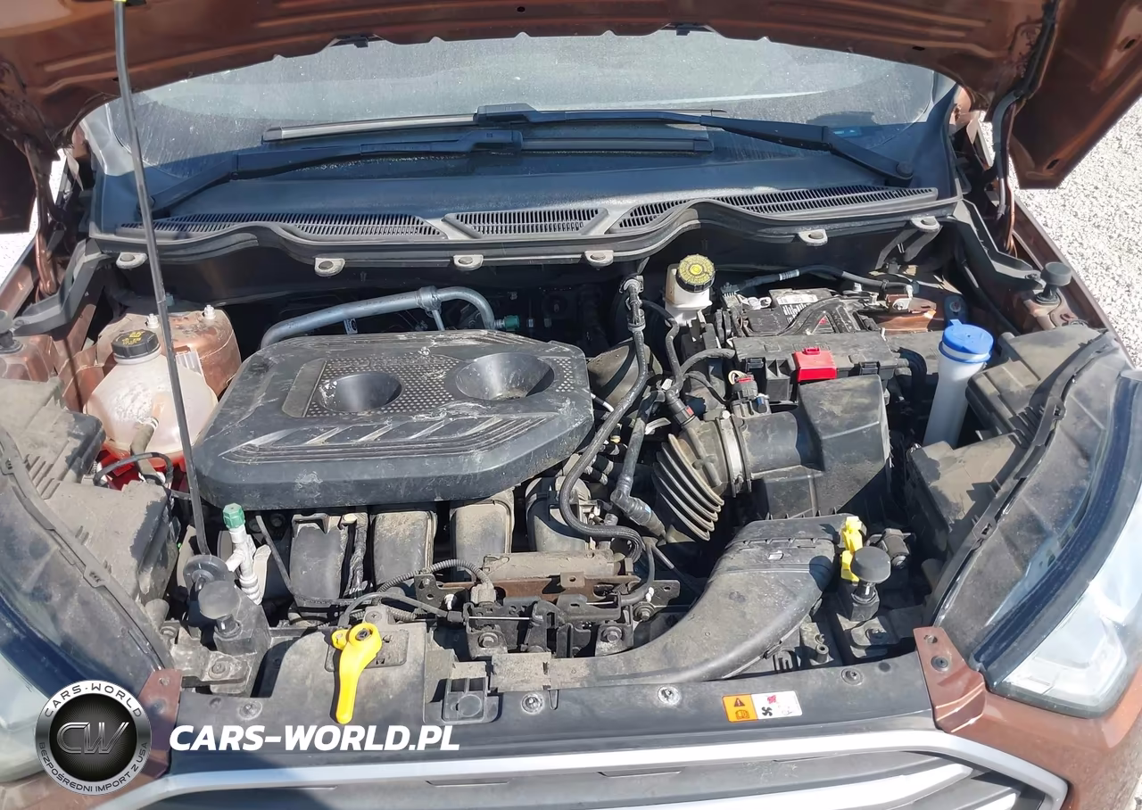 2020 Ford Ecosport Se VIN:MAJ6S3GL1LC388807 - 10