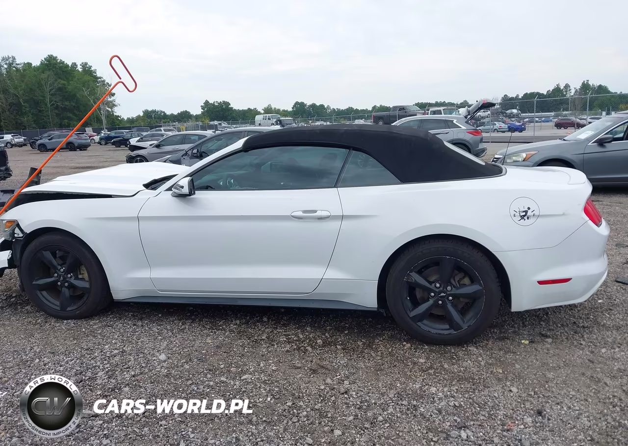 2015 Ford Mustang V6 VIN:1FATP8EM7F5429186 - 14