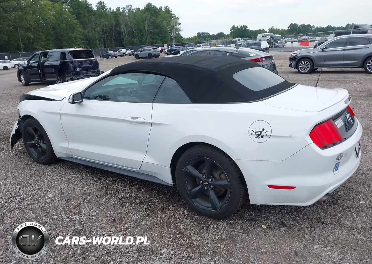 2015 Ford Mustang V6 VIN:1FATP8EM7F5429186 - 3