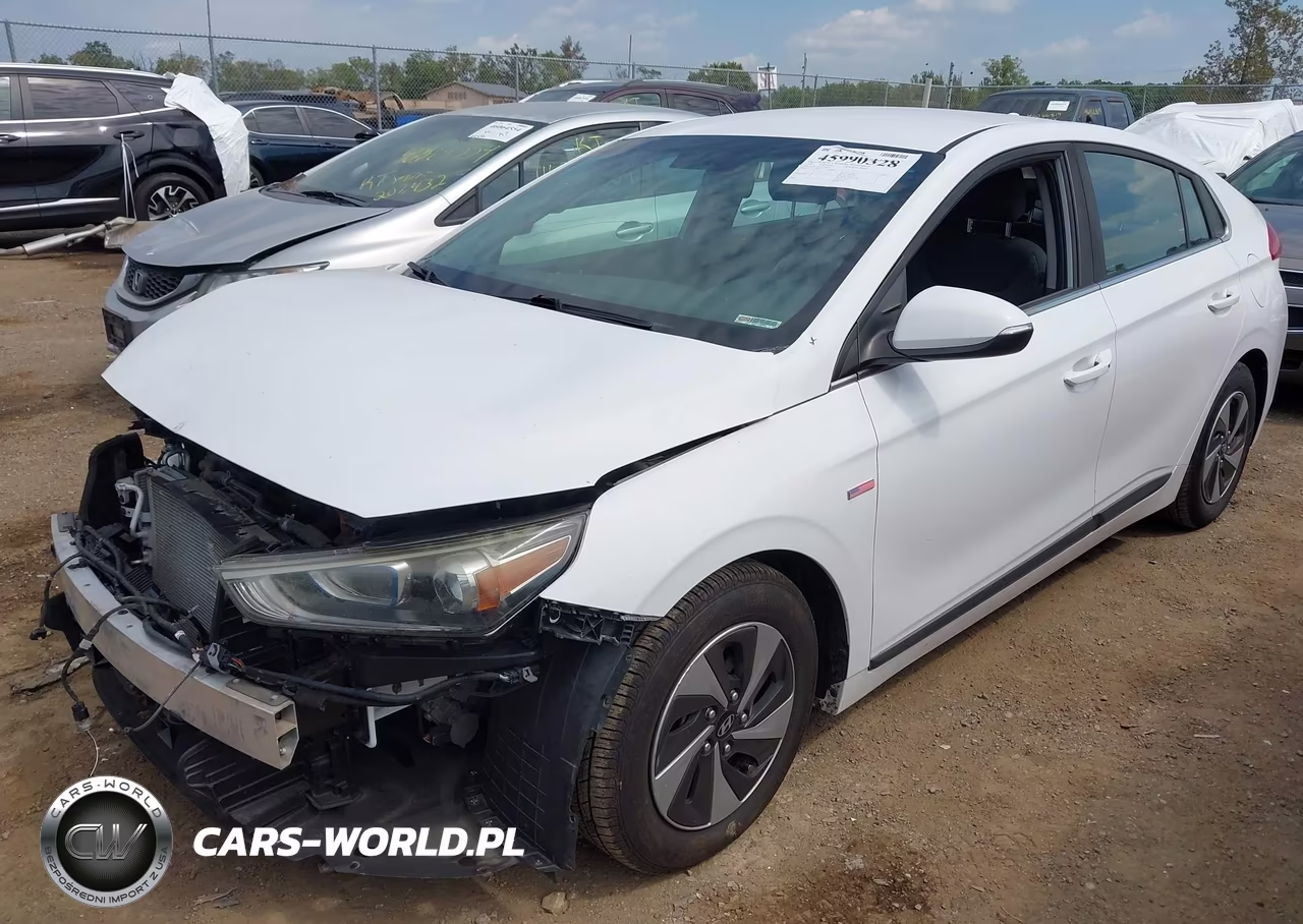 2018 Hyundai Ioniq Hybrid Sel VIN:KMHC75LC7JU090393 - 2