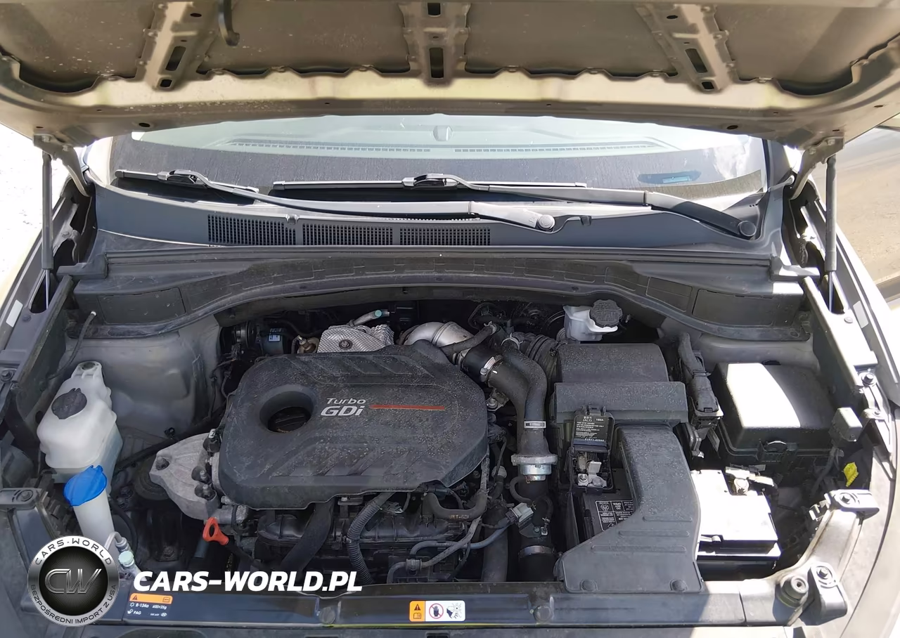 2017 Hyundai Santa Fe Sport 2.0T Ultimate VIN:5XYZWDLA3HG498301 - 10
