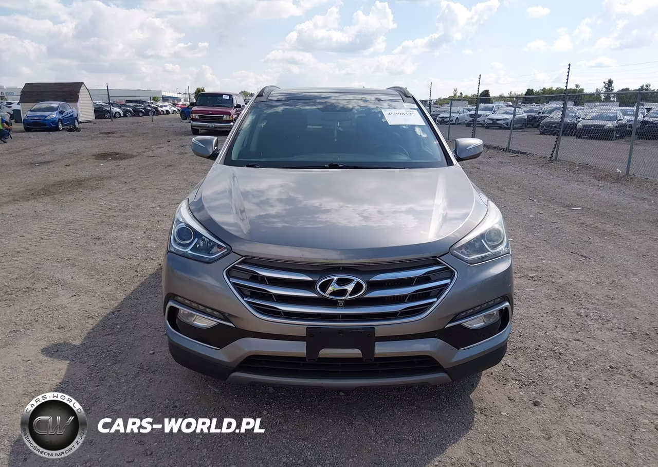 2017 Hyundai Santa Fe Sport 2.0T Ultimate VIN:5XYZWDLA3HG498301 - 12