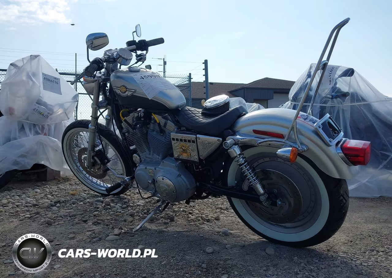 2003 Harley-Davidson Xl883 C Anniversary VIN:1HD4CJM443K410576 - 3