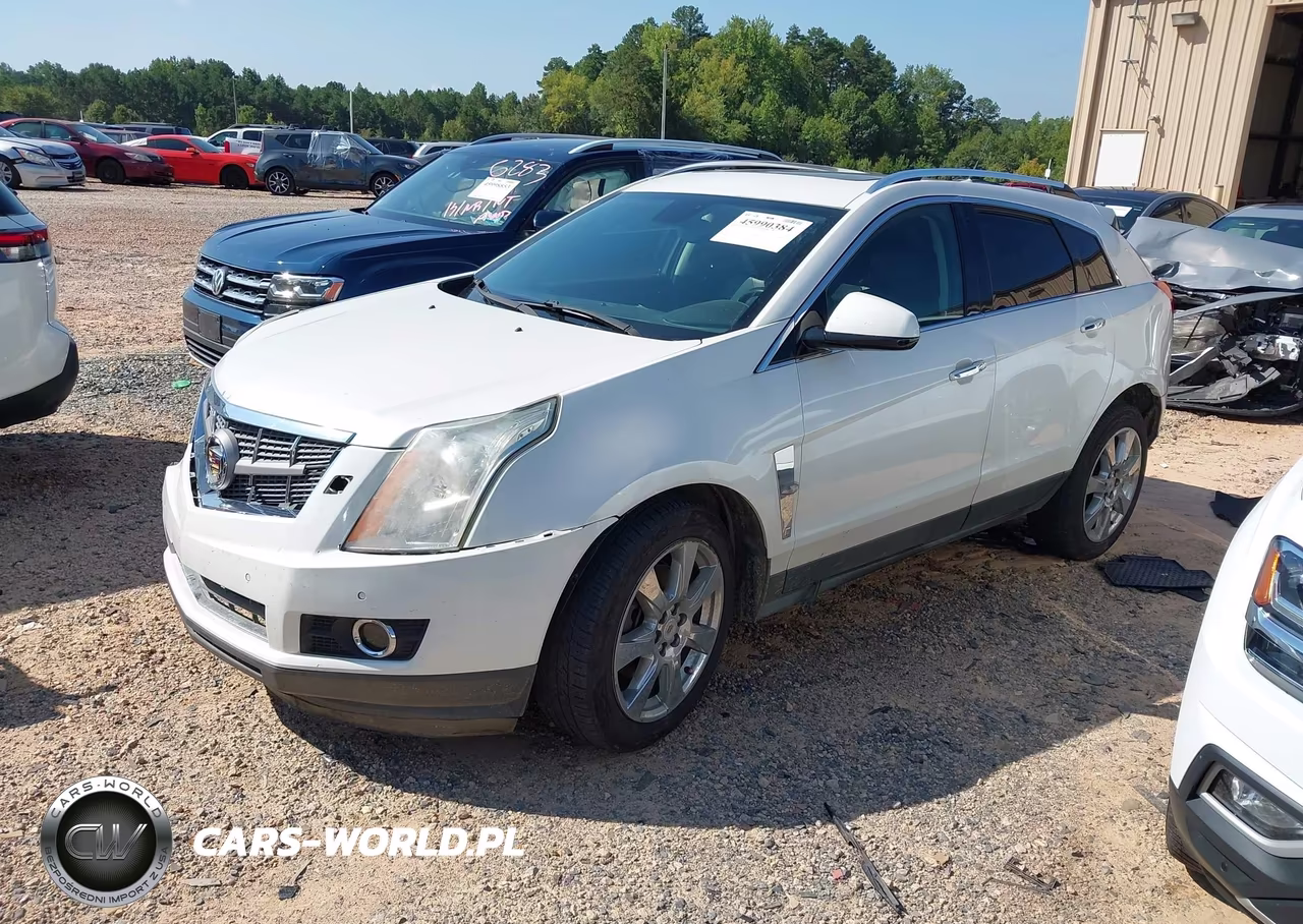 2010 Cadillac Srx Performance Collection VIN:3GYFNBEY8AS567342 - 2