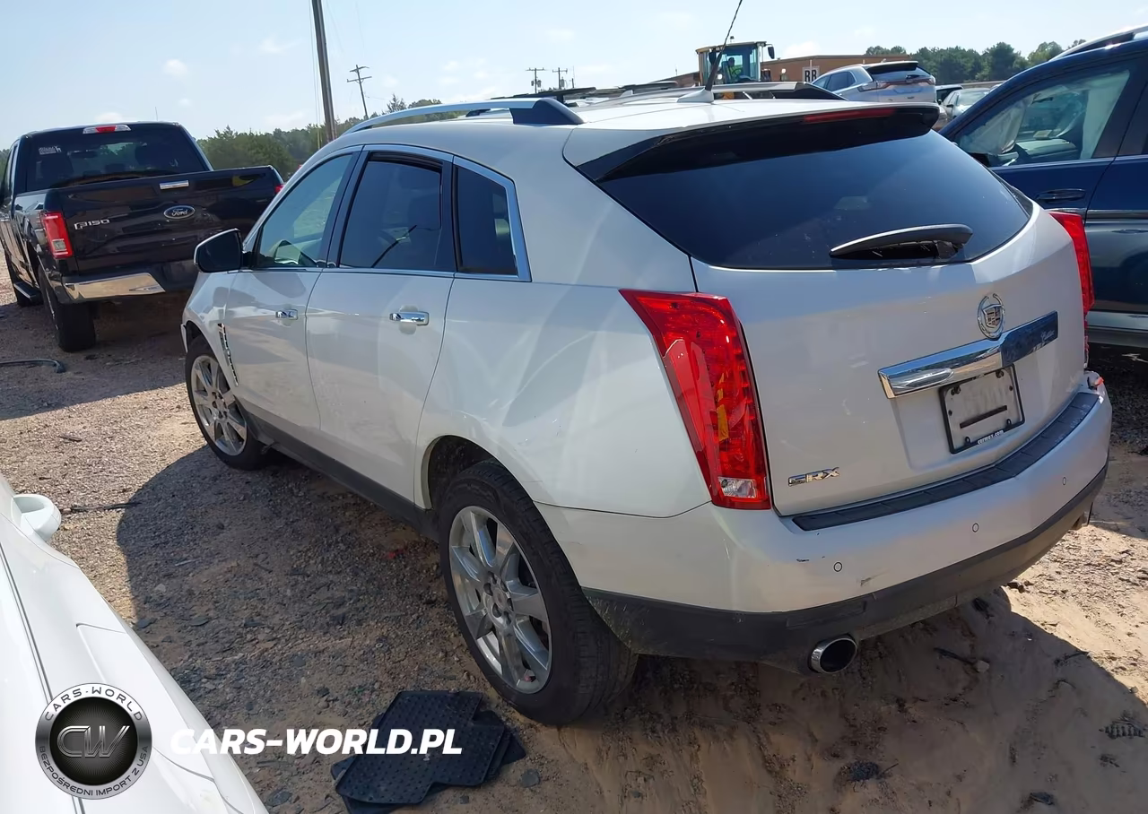 2010 Cadillac Srx Performance Collection VIN:3GYFNBEY8AS567342 - 3