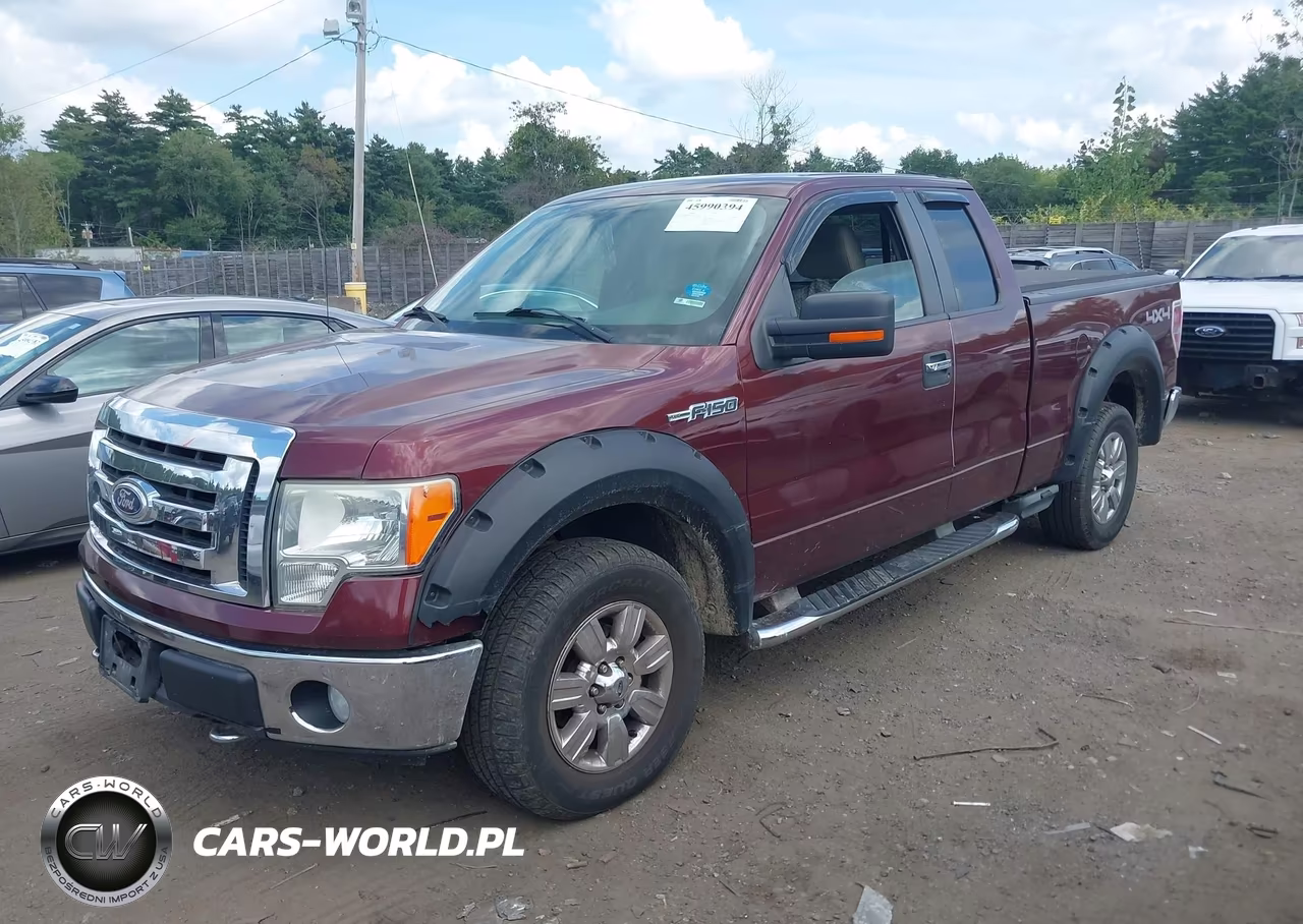 2009 Ford F-150 Fx4-Lariat-Xl-Xlt VIN:1FTPX14V79FB34293 - 2