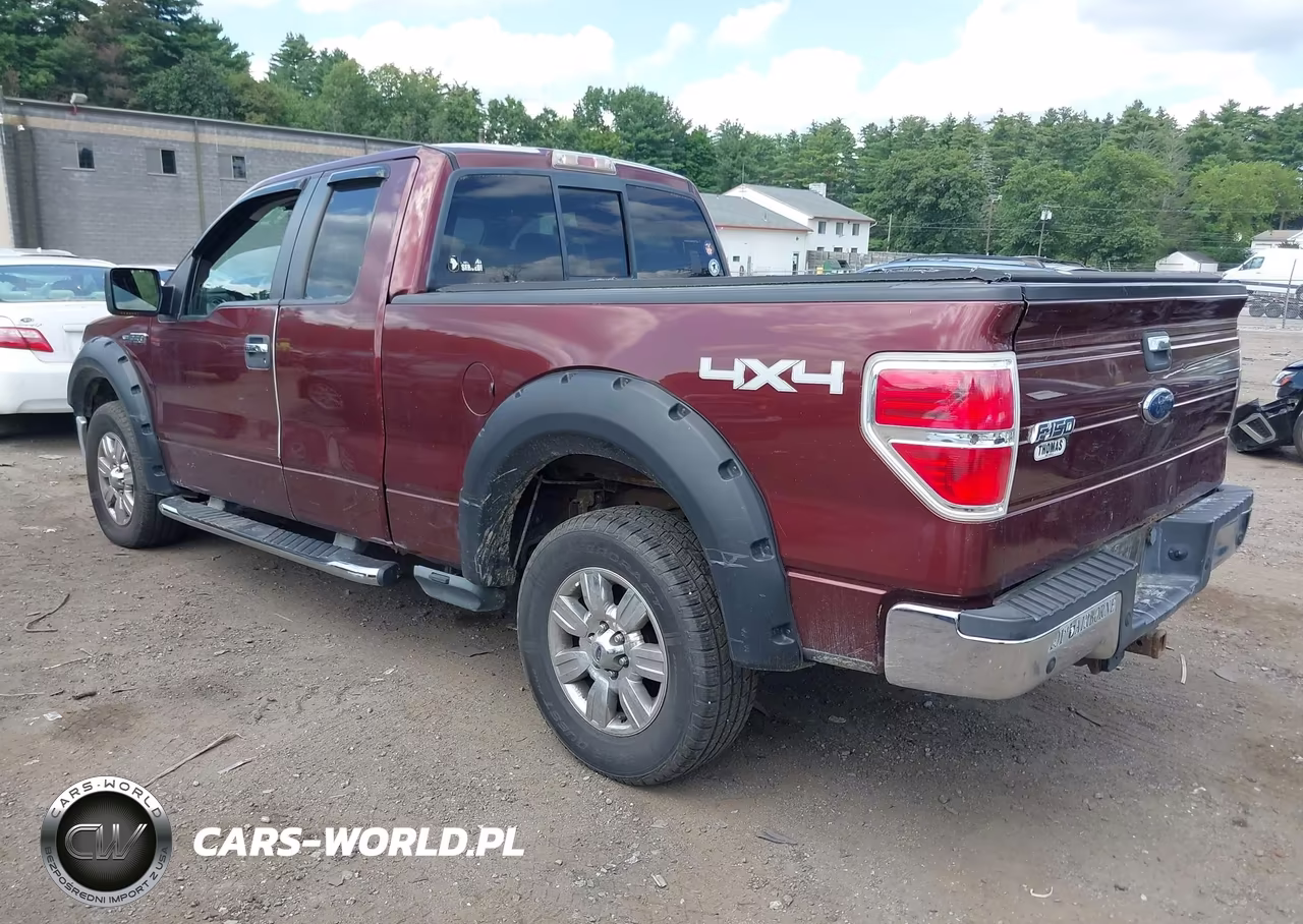 2009 Ford F-150 Fx4-Lariat-Xl-Xlt VIN:1FTPX14V79FB34293 - 3