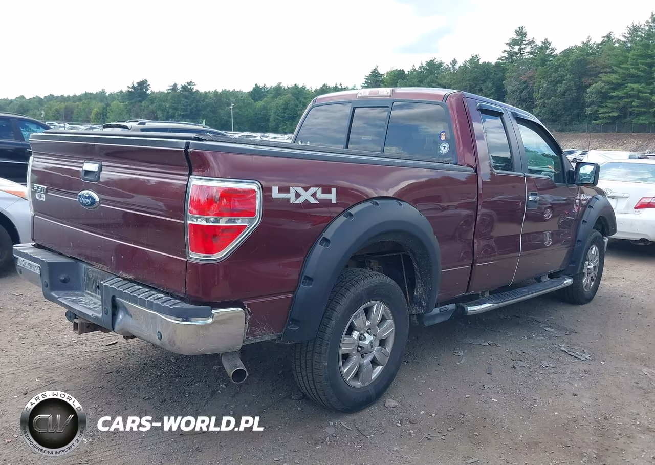 2009 Ford F-150 Fx4-Lariat-Xl-Xlt VIN:1FTPX14V79FB34293 - 4