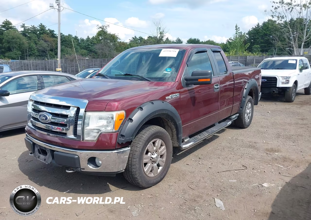 2009 Ford F-150 Fx4-Lariat-Xl-Xlt VIN:1FTPX14V79FB34293 - 6