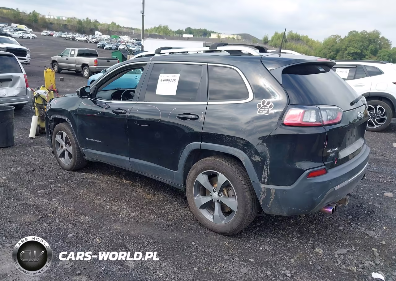 2019 Jeep Cherokee Limited 4X4 VIN:1C4PJMDX9KD133118 - 3