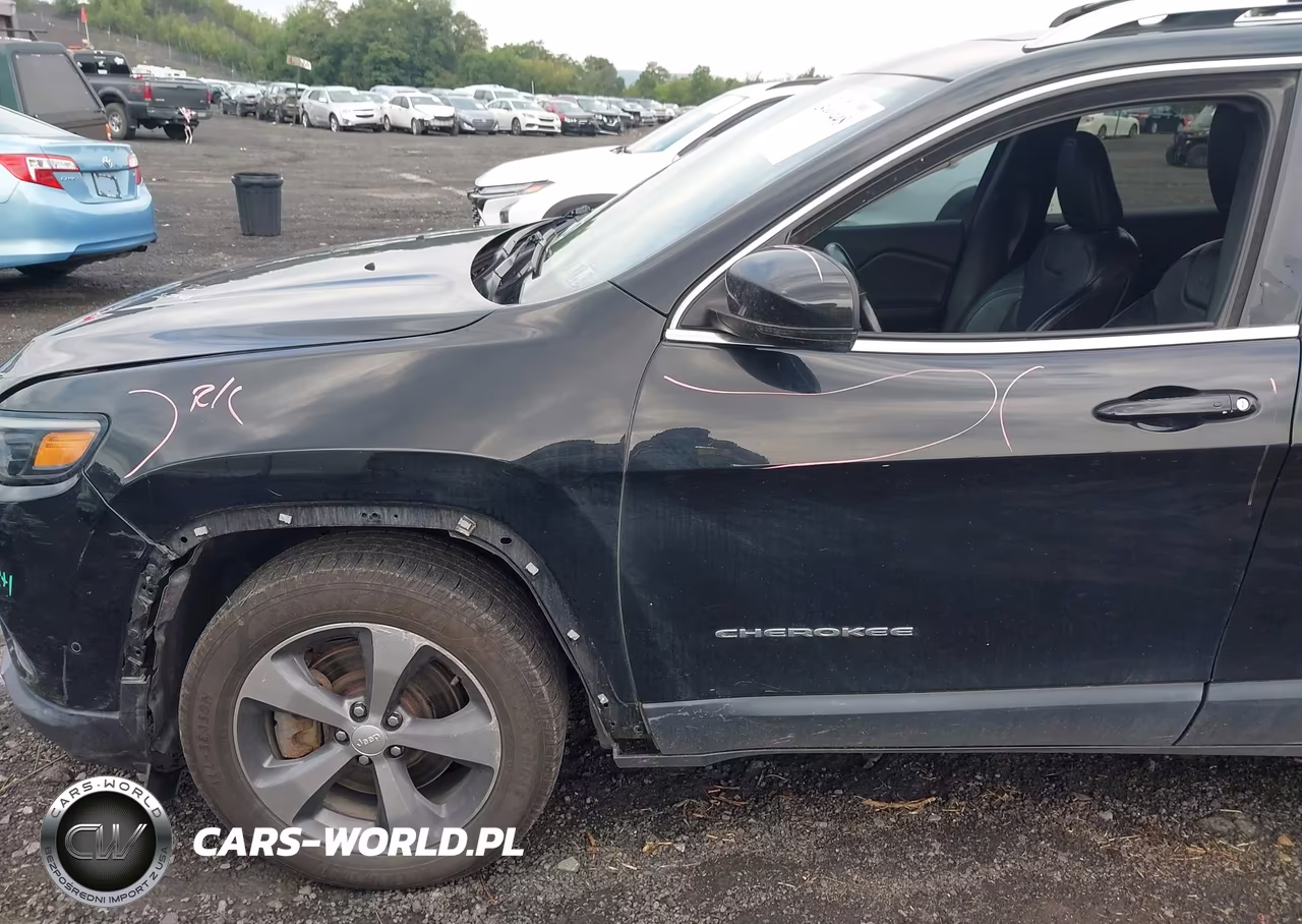 2019 Jeep Cherokee Limited 4X4 VIN:1C4PJMDX9KD133118 - 6