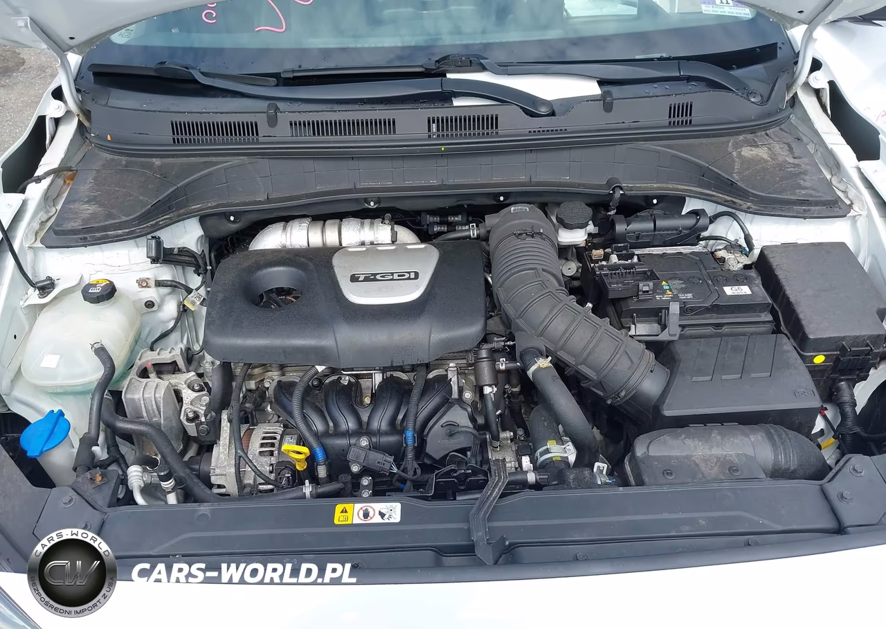 2019 Hyundai Kona Ultimate VIN:KM8K5CA57KU270307 - 10
