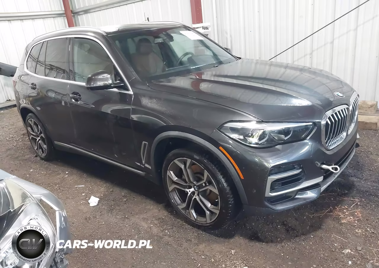 2023 BMW X5 xDrive40I VIN:5UXCR6C00P9R22354 - 1