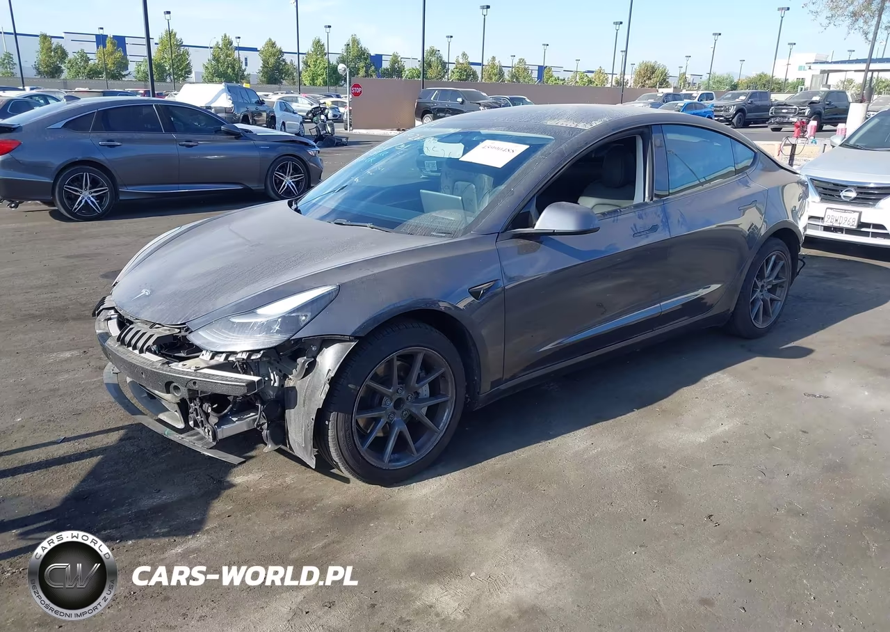 2023 Tesla Model 3 Rear-Wheel Drive VIN:5YJ3E1EA1PF616436 - 2