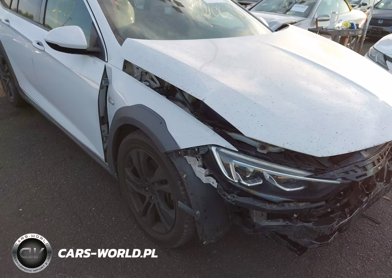 2018 Buick Regal Tourx Essence VIN:W04GV8SX6J1106418 - 19