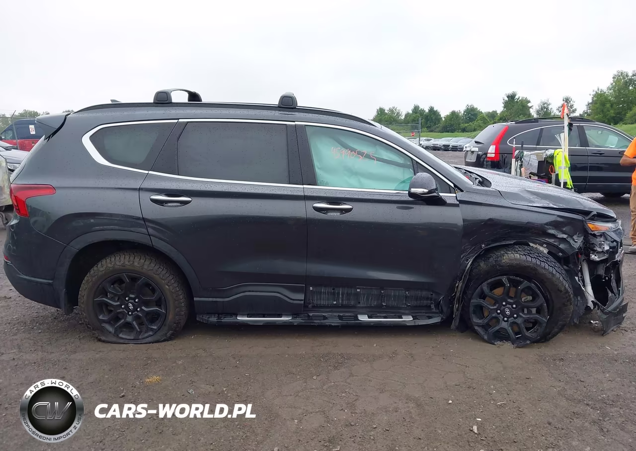 2023 Hyundai Santa Fe Xrt VIN:5NMS6DAJXPH532856 - 13