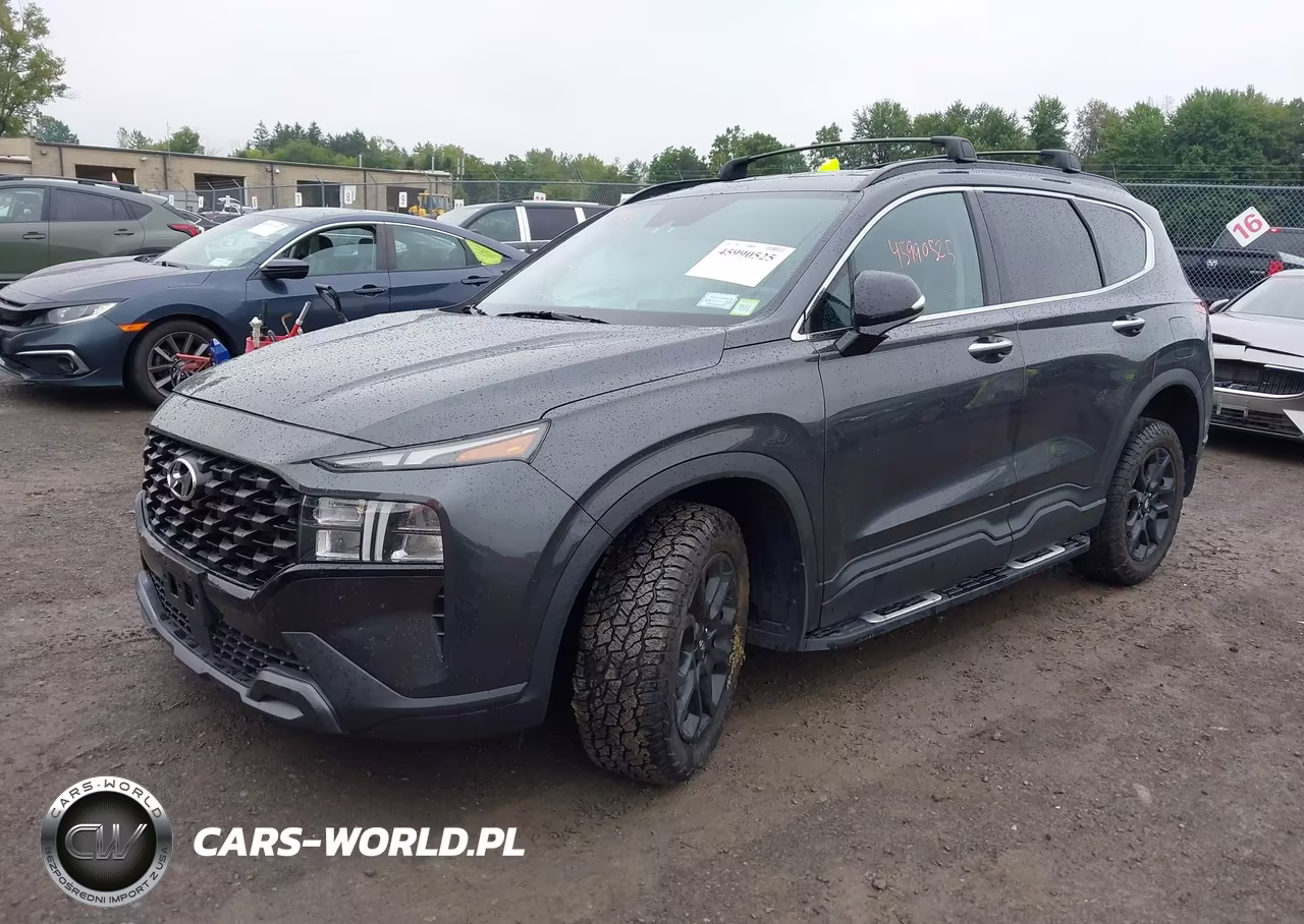 2023 Hyundai Santa Fe Xrt VIN:5NMS6DAJXPH532856 - 2
