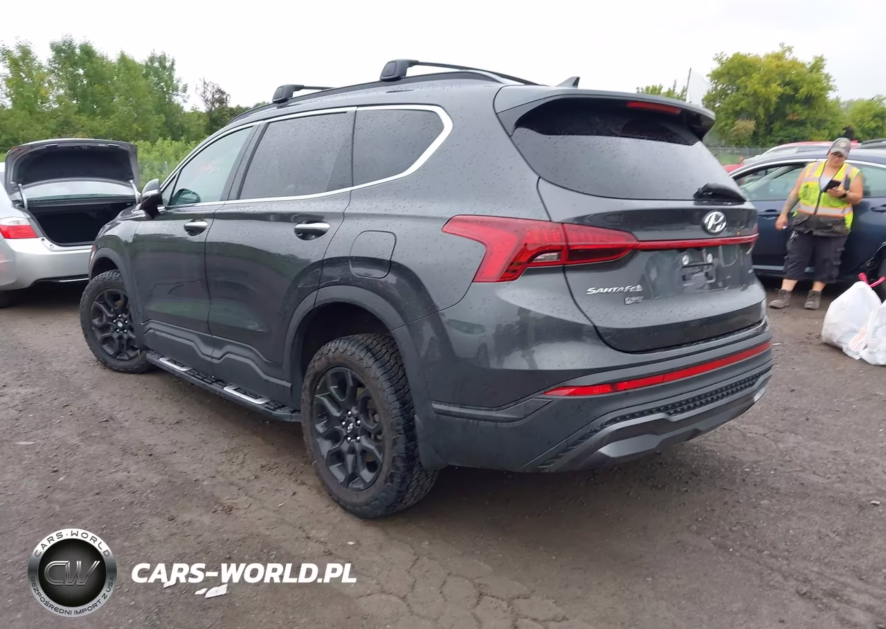 2023 Hyundai Santa Fe Xrt VIN:5NMS6DAJXPH532856 - 3