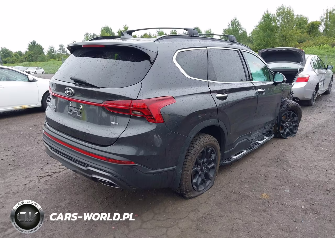 2023 Hyundai Santa Fe Xrt VIN:5NMS6DAJXPH532856 - 4