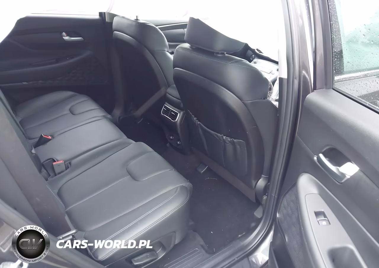 2023 Hyundai Santa Fe Xrt VIN:5NMS6DAJXPH532856 - 8
