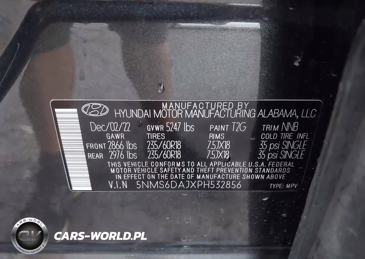 2023 Hyundai Santa Fe Xrt VIN:5NMS6DAJXPH532856 - 9
