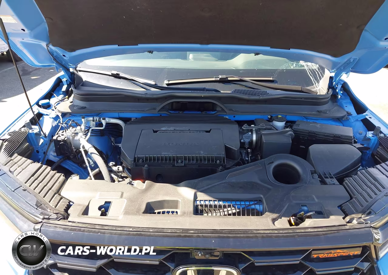 2025 Honda Pilot Trailsport VIN:5FNYG1H64SB162201 - 10